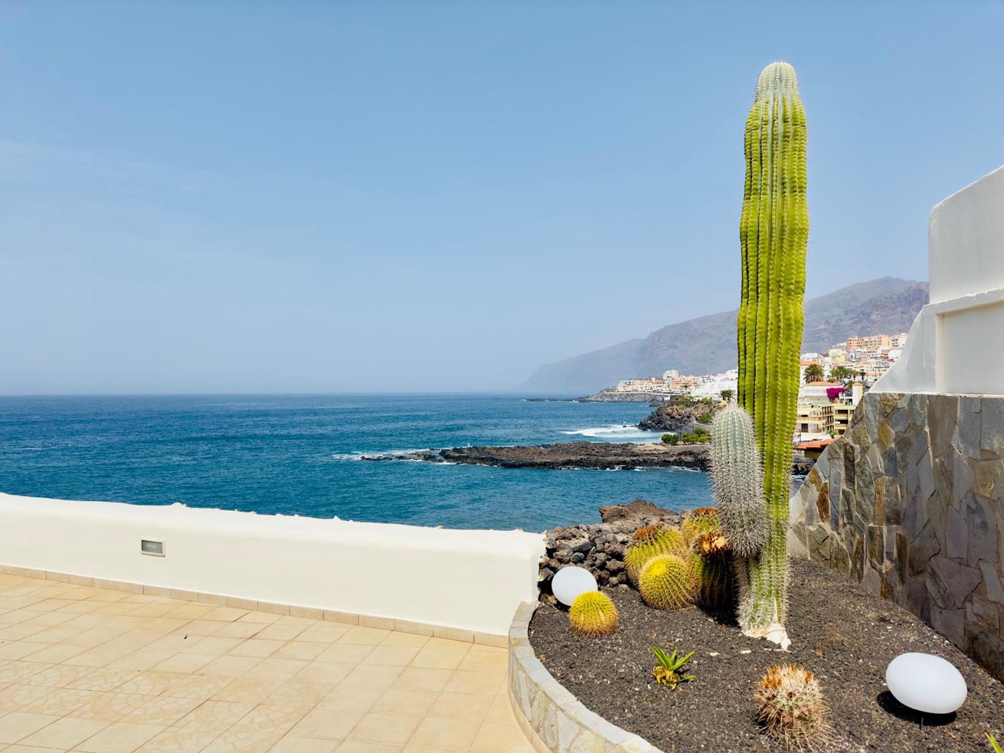 Beachfront Villa And Pool Puerto de Santiago  Buitenkant foto